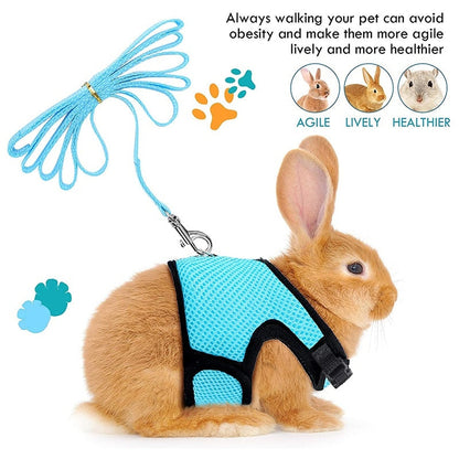 Funki Findz | Pet Harnesses | Small Pet Leash Vests | Rabbit Cat