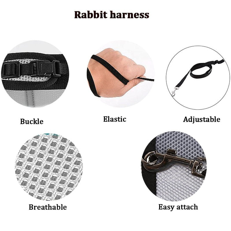 Funki Findz | Pet Harnesses | Small Pet Leash Vests | Rabbit Cat