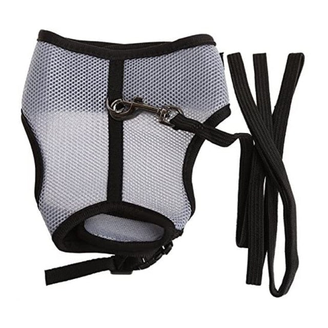 Funki Findz | Pet Harnesses | Small Pet Leash Vests | Rabbit Cat