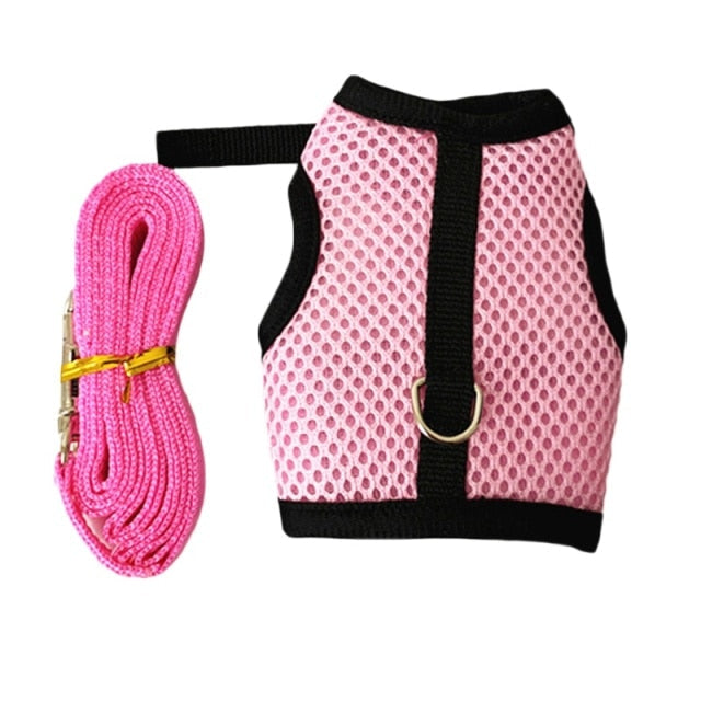 Funki Findz | Pet Harnesses | Small Pet Leash Vests | Rabbit Cat