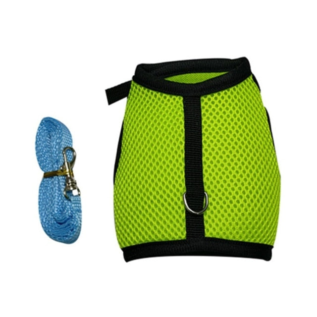 Funki Findz | Pet Harnesses | Small Pet Leash Vests | Rabbit Cat