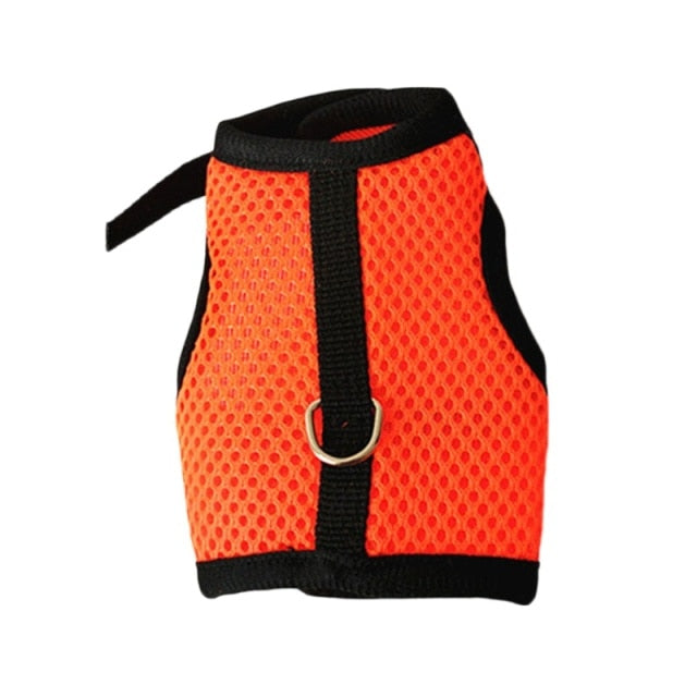 Funki Findz | Pet Harnesses | Small Pet Leash Vests | Rabbit Cat