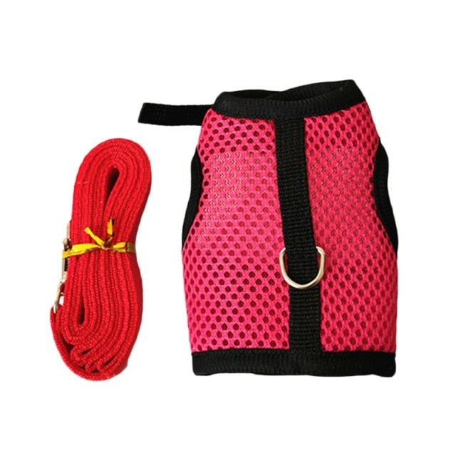 Funki Findz | Pet Harnesses | Small Pet Leash Vests | Rabbit Cat