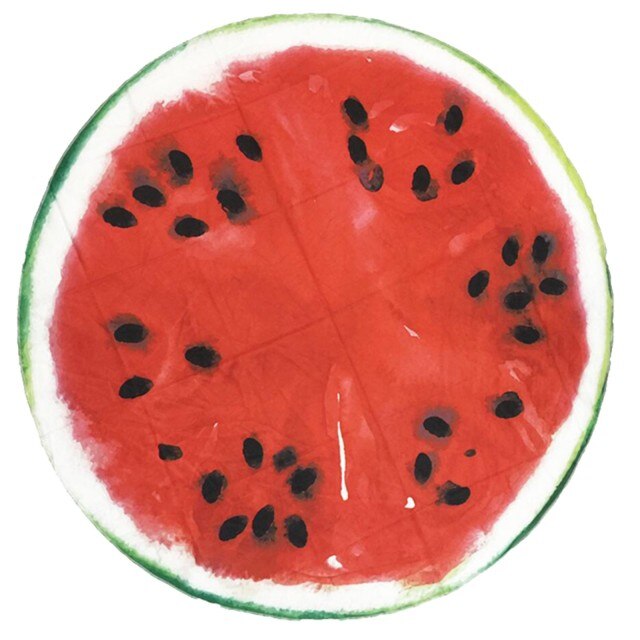 Funki Findz | Beach Mats | Fruit Printed Beach Mat Towel Throw
