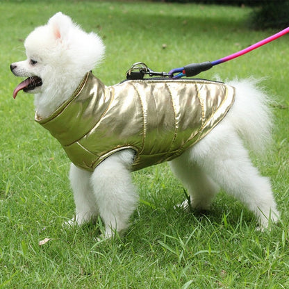 Funki Findz | Dog Jackets | Gold Fluro Zip Up Vest | Dog Harness