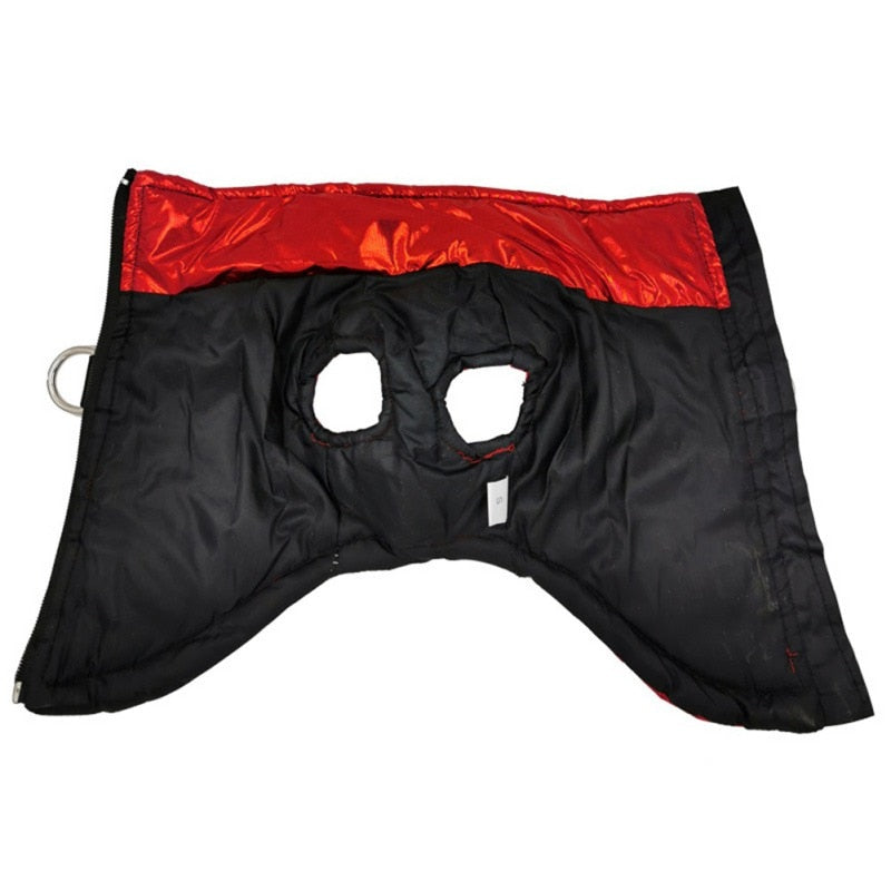 Funki Findz | Dog Jackets | Gold Fluro Zip Up Vest | Dog Harness