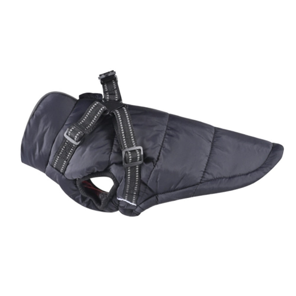 Funki Findz | Dog Jackets | Pet Harness | Harness With Leash