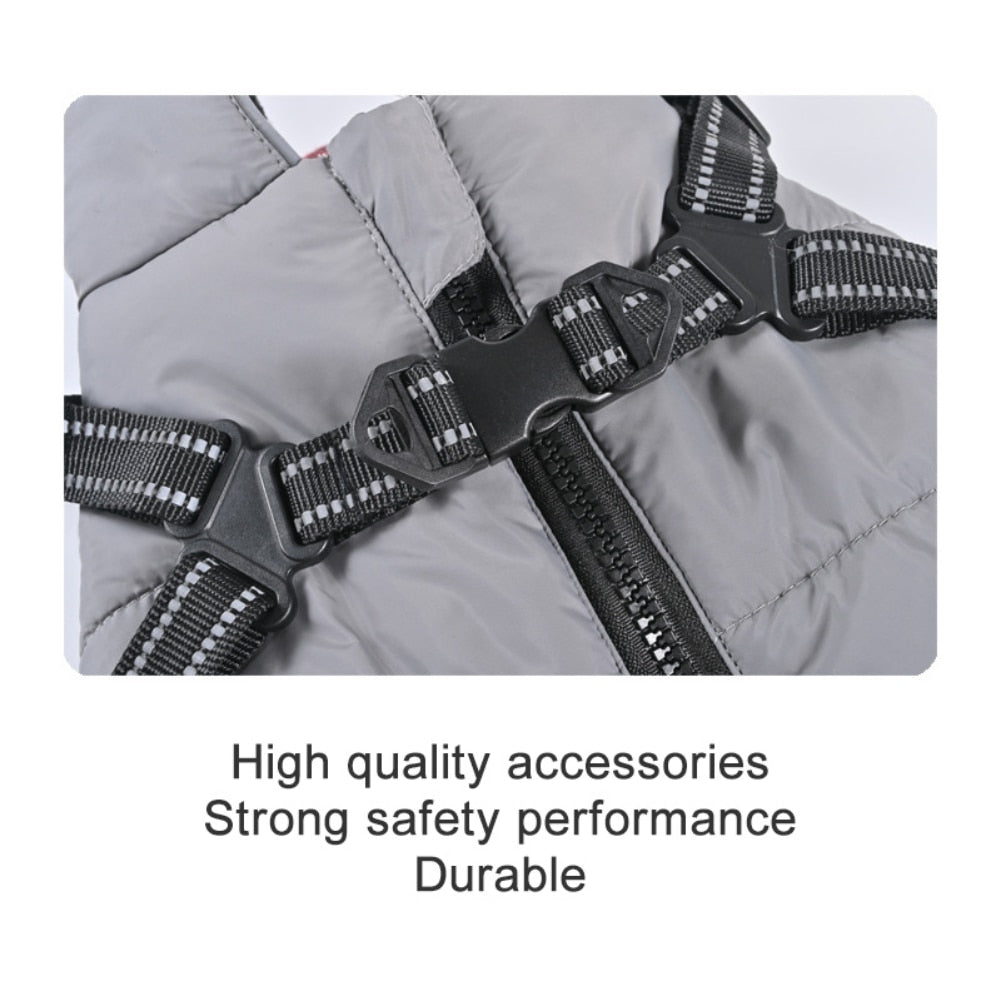 Funki Findz | Dog Jackets | Pet Harness | Harness With Leash