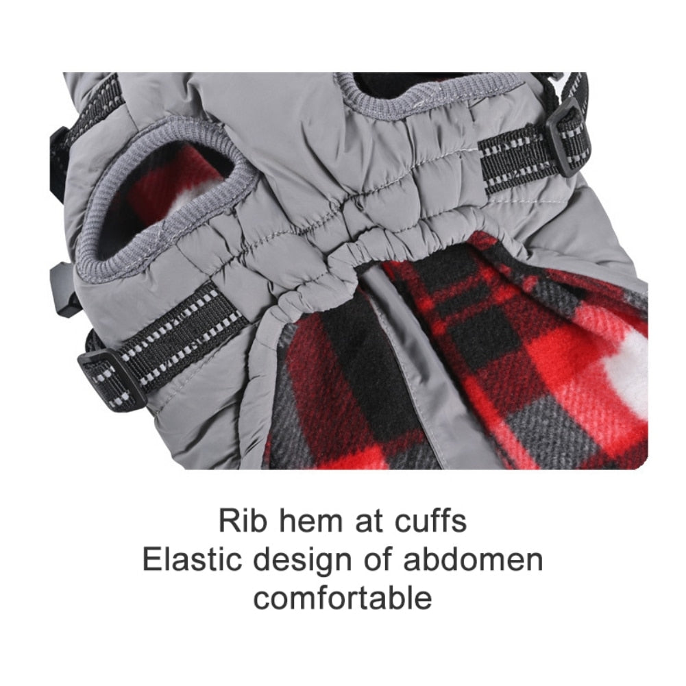 Funki Findz | Dog Jackets | Pet Harness | Harness With Leash