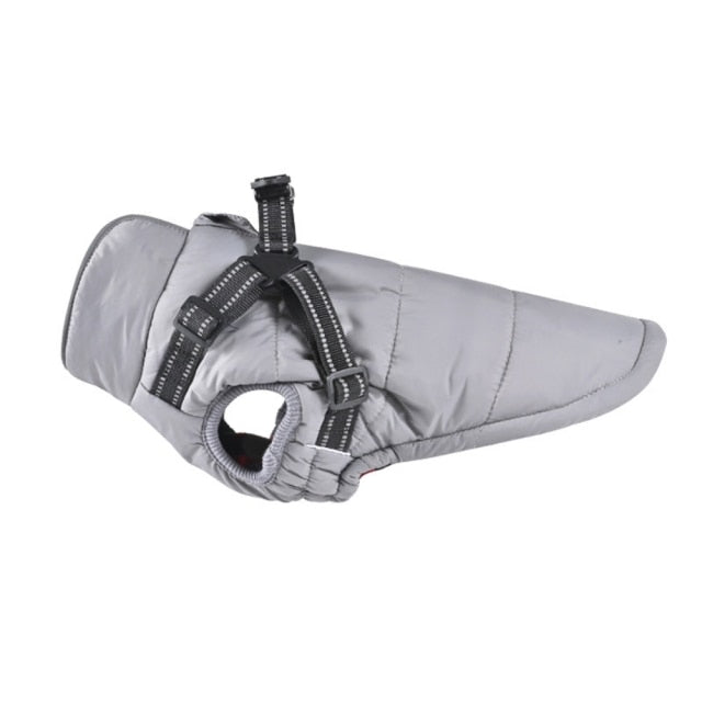 Funki Findz | Dog Jackets | Pet Harness | Harness With Leash