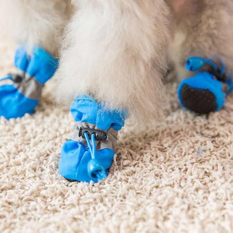 Funki Findz | Dog Boots | Pet Dog Shoes | Dog Cat Anti-Slip Boot