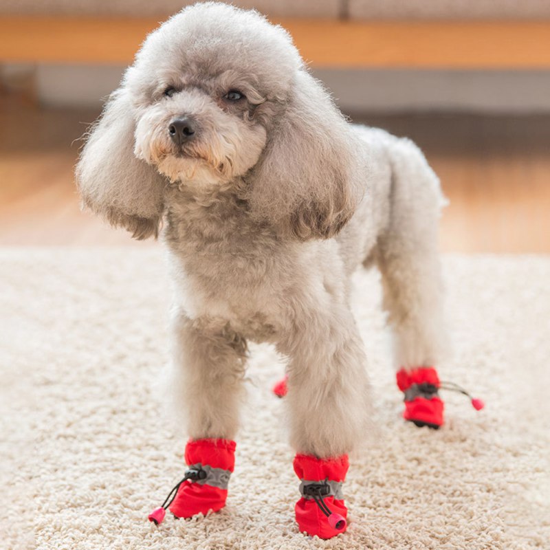 Funki Findz | Dog Boots | Pet Dog Shoes | Dog Cat Anti-Slip Boot