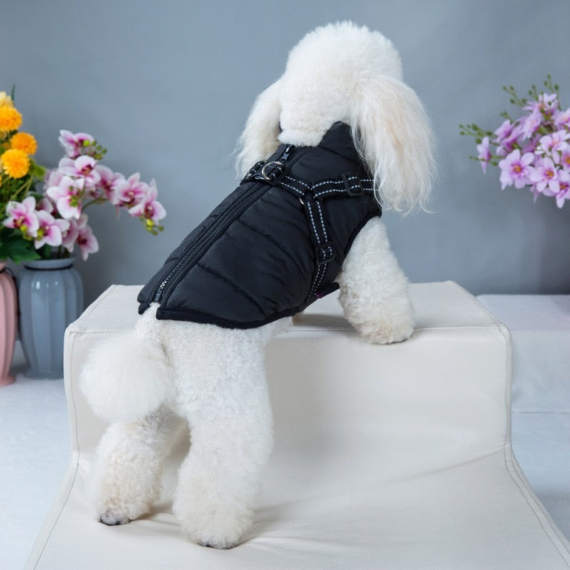 Funki Findz | Dog Jackets | Dog Coat | Reflective Pet Harness