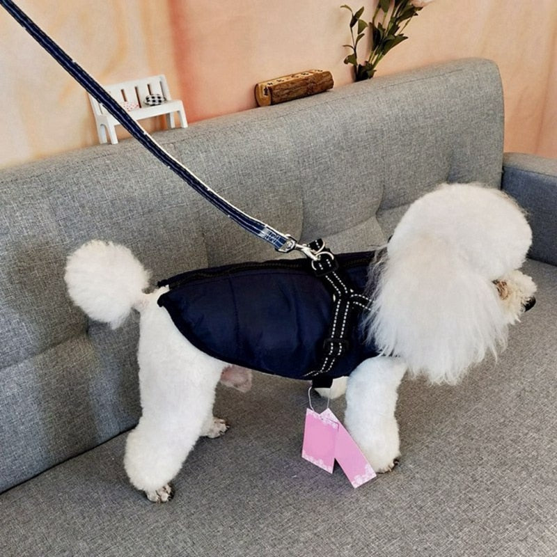 Funki Findz | Dog Jackets | Dog Coat | Reflective Pet Harness
