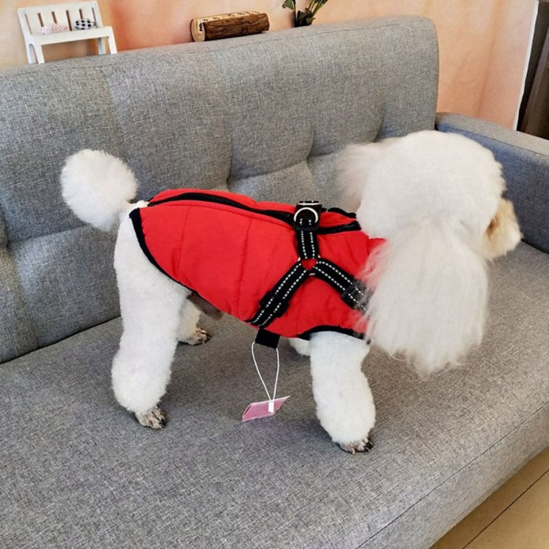 Funki Findz | Dog Jackets | Dog Coat | Reflective Pet Harness