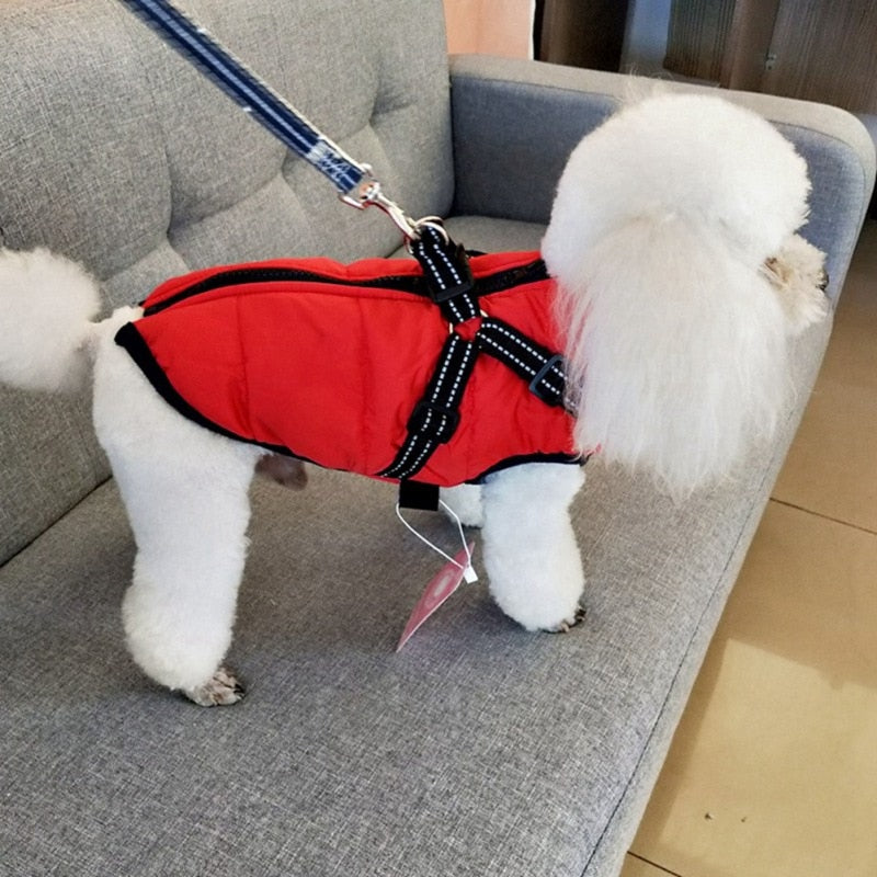 Funki Findz | Dog Jackets | Dog Coat | Reflective Pet Harness