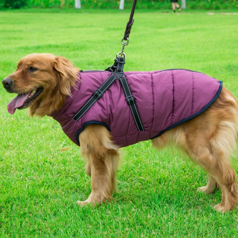 Funki Findz | Dog Jackets | Dog Coat | Reflective Pet Harness