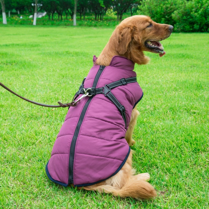 Funki Findz | Dog Jackets | Dog Coat | Reflective Pet Harness