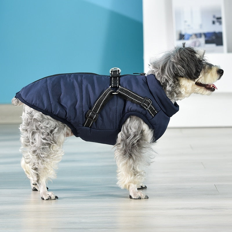 Funki Findz | Dog Jackets | Pet Harness | Padded Walking Vest