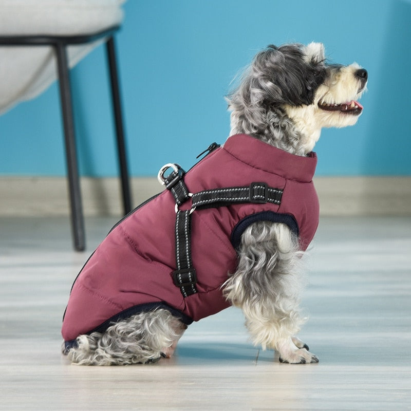 Funki Findz | Dog Jackets | Pet Harness | Padded Walking Vest