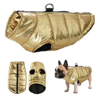 Funki Findz | Dog Jackets | Gold Fluro Zip Up Vest | Dog Harness