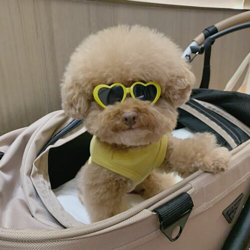 Funki Findz | Pet Sunglasses | Cute Heart Shaped Pet Sunnies