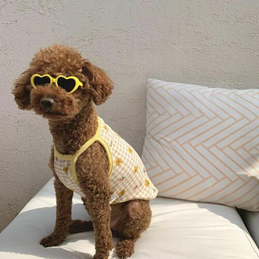 Funki Findz | Pet Sunglasses | Cute Heart Shaped Pet Sunnies