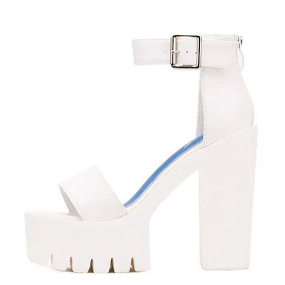 Funki Findz | Shoes | Women's Sexy High Chunky Heel Platforms